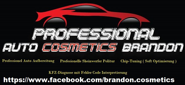 Auto Performance and Cosmetics Brandon
